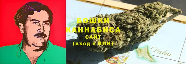 трава Сатка