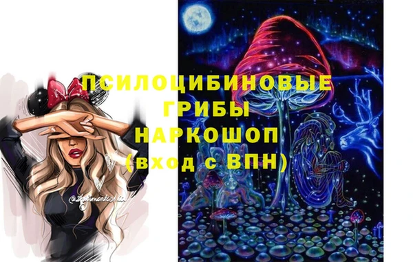 твердый Абаза