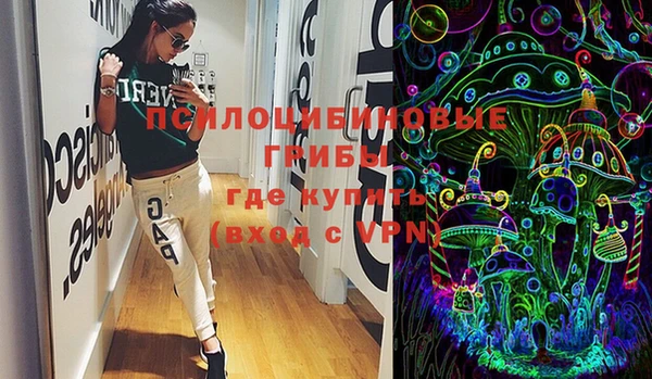 трава Сатка