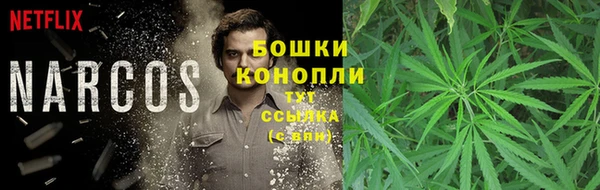 твердый Абаза
