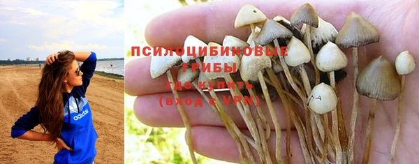твердый Абаза