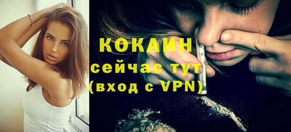 твердый Абаза