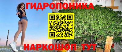 Альфа ПВП Будённовск