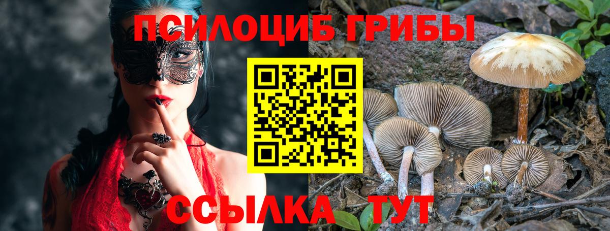 Галлюциногенные грибы мицелий  Галлюциногенные грибы Psilocybine cubensis  Ивантеевка  Вход с VPN 