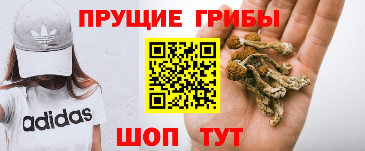 Псилоцибиновые грибы ЛСД Ивантеевка