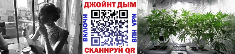 Марихуана планчик Ивантеевка